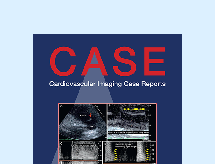 CASE - card@2x CASE - card@2x