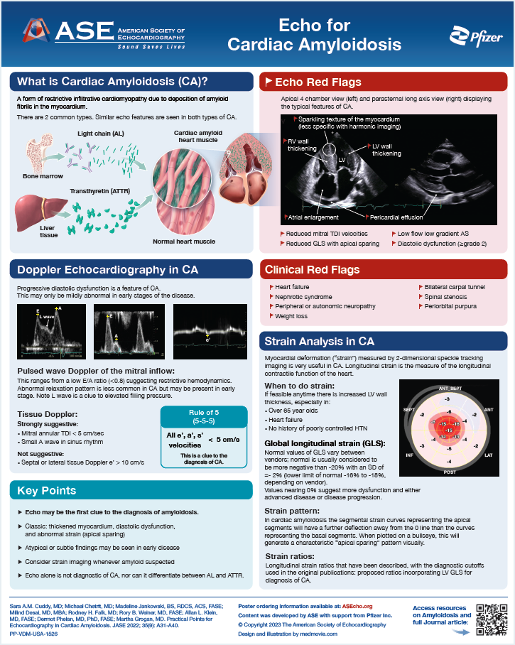 Amyloid-Poster-2023