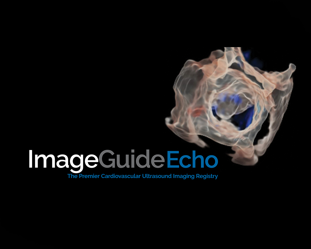 Image Guide Echo Block Image Guide Echo Registry