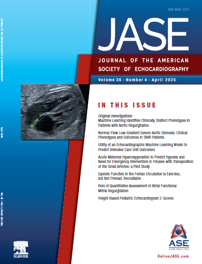 JASE 2025 April Cover Image